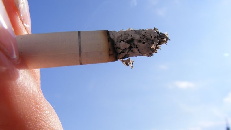Obliba nikotinových sáčků mezi mladými roste